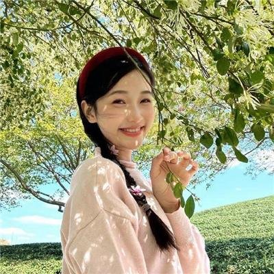 动物总动员